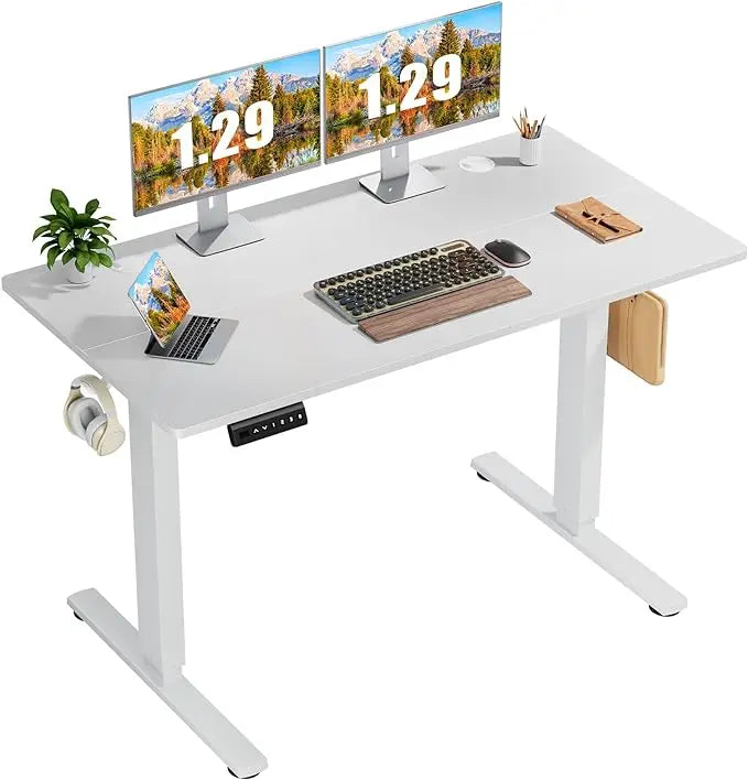Electric Standing adjustable Desk with Drawer